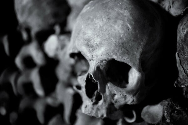 Human Skulls - French Catacombs