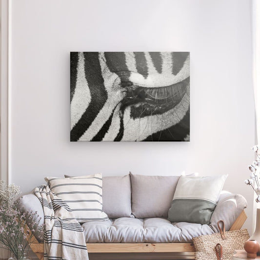 Untamed Beauty of Nature with Zebra Close-Up Canvas Print